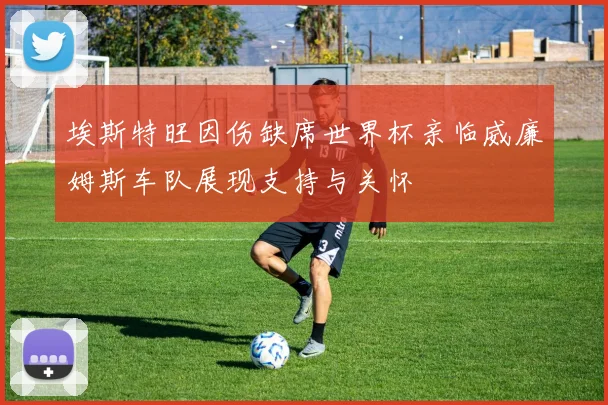 埃斯特旺因伤缺席世界杯亲临威廉姆斯车队展现支持与关怀